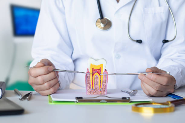 Best Emergency Root Canal Treatment in North Windham, ME